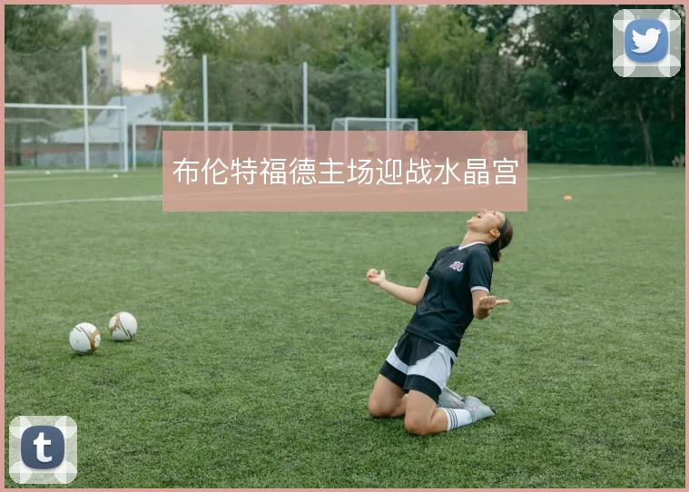 布伦特福德主场迎战水晶宫